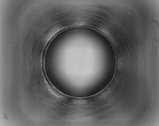 X0000103131039200808221149