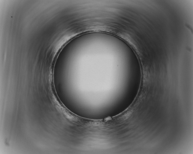 X0000103131040200808221149