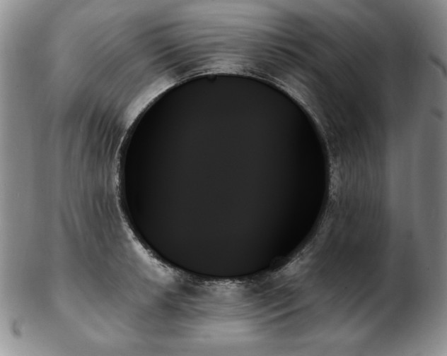 X0000103131042200808221149