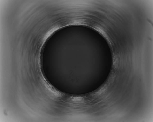 X0000103131043200808221149