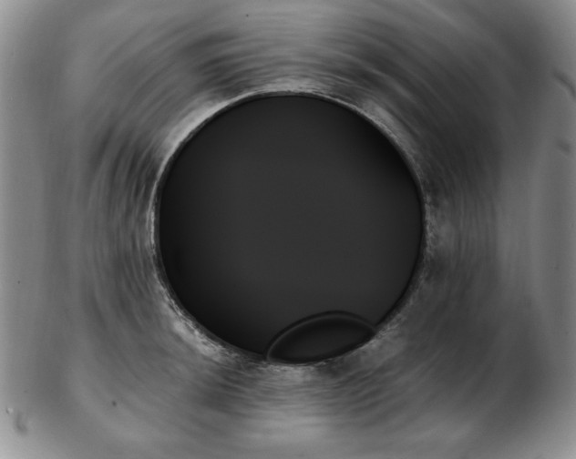 X0000103131044200808221149