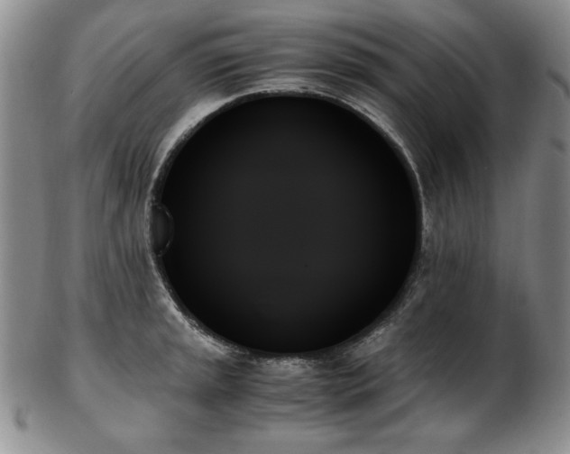 X0000103131045200808221149