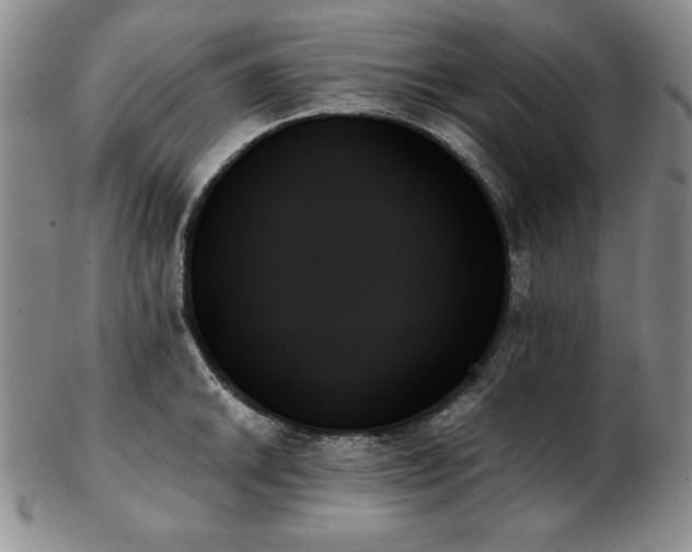 X0000103131046200808221149