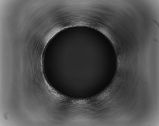 X0000103131047200808221149
