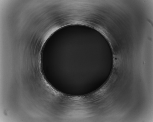 X0000103131048200808221149