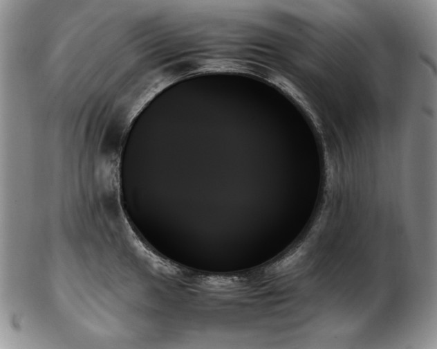 X0000103131049200808221149