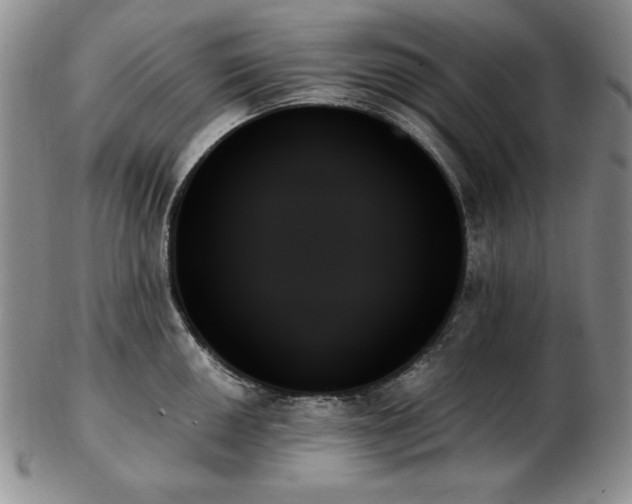 X0000103131050200808221149