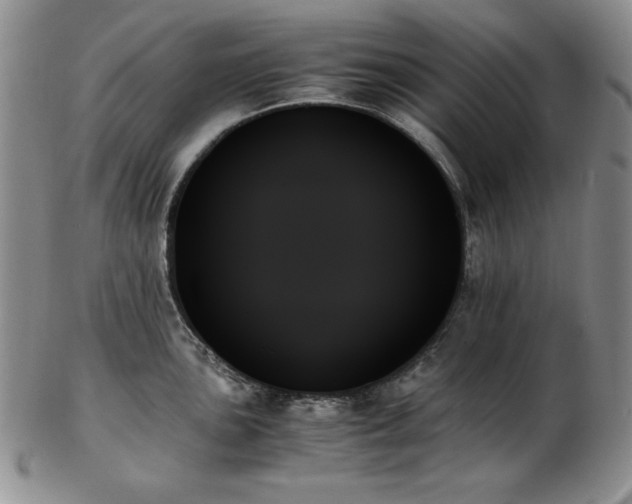 X0000103131051200808221149