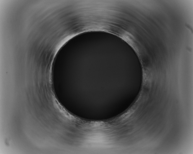X0000103131052200808221149