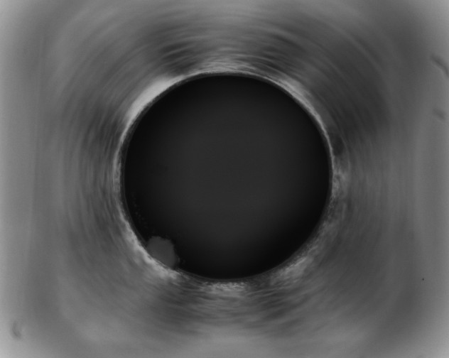 X0000103131053200808221149