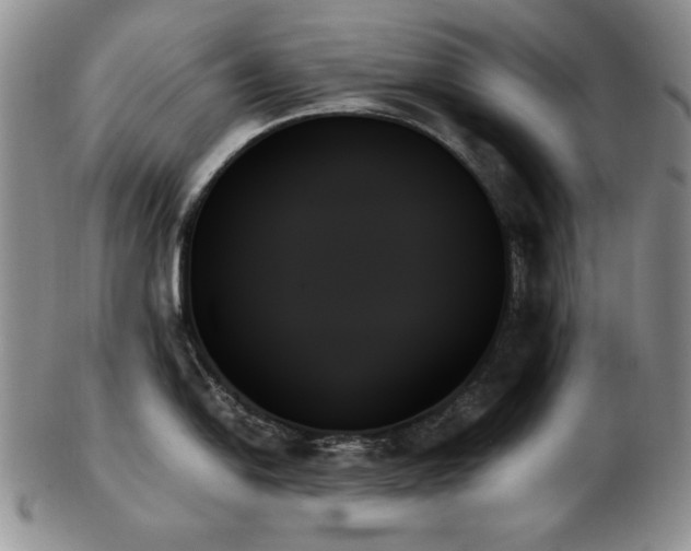 X0000103131054200808221149