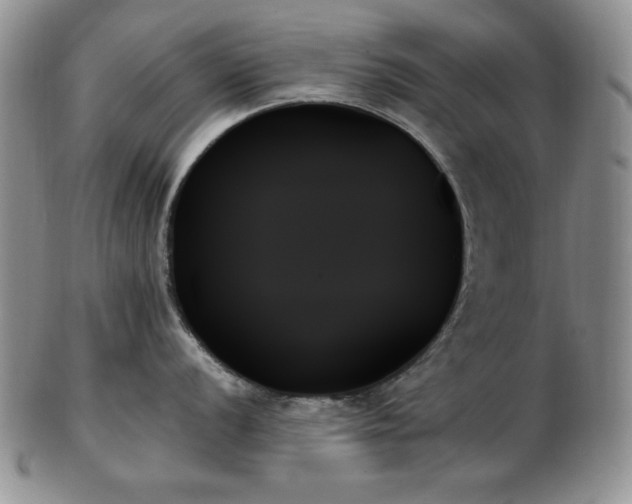 X0000103131056200808221149