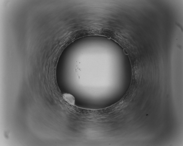 X0000103131057200808221149