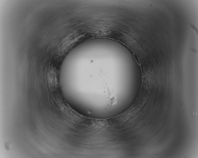 X0000103131058200808221149