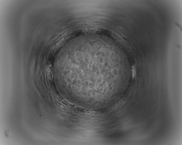 X0000103131059200808221149