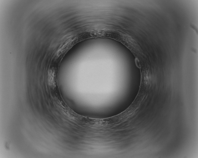 X0000103131060200808221149