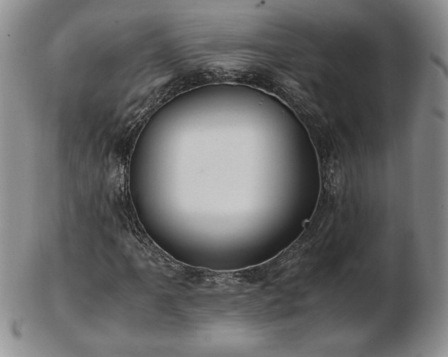 X0000103131061200808221148