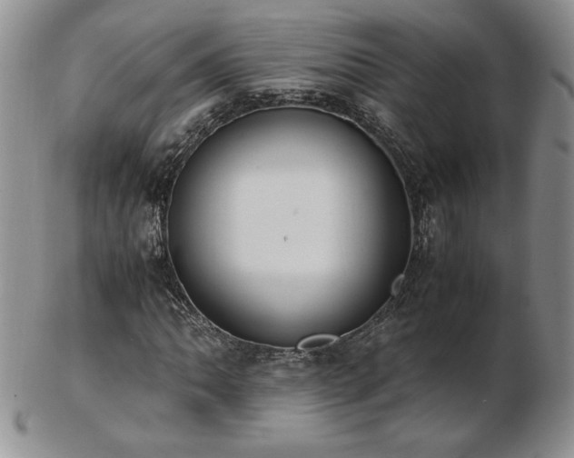 X0000103131062200808221148