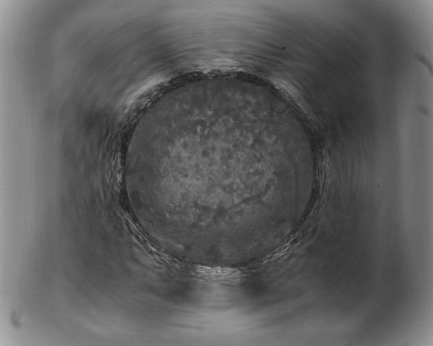 X0000103131063200808221148