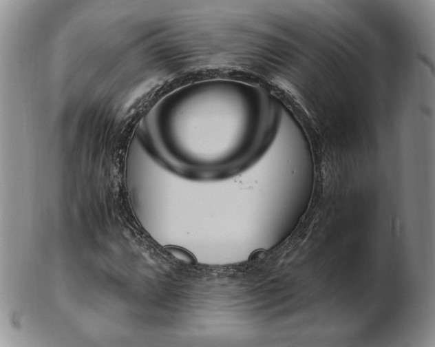 X0000103131064200808221148