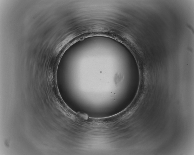 X0000103131065200808221148