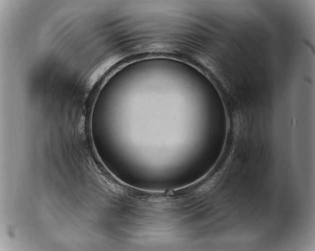 X0000103131066200808221148