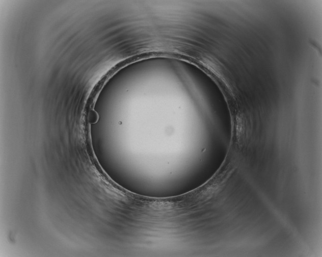 X0000103131068200808221148