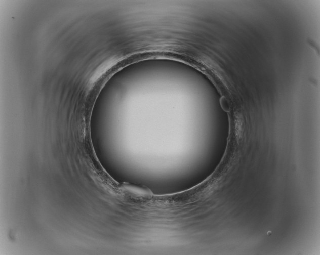 X0000103131069200808221148