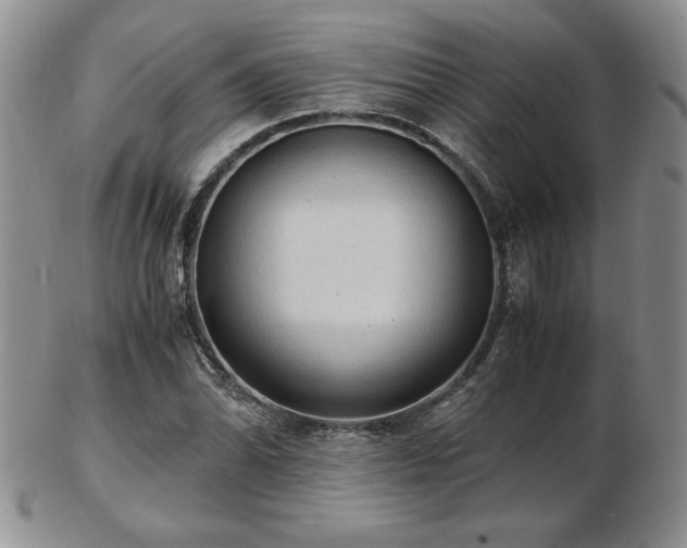 X0000103131070200808221148