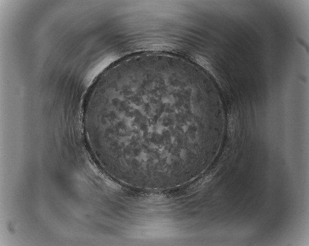 X0000103131071200808221148