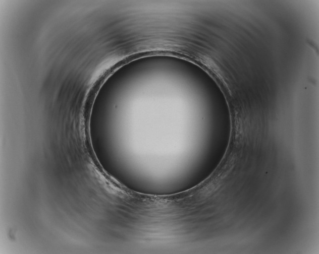 X0000103131072200808221148