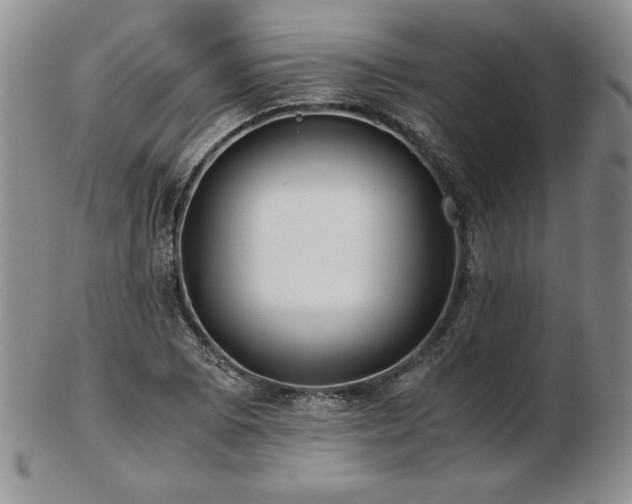 X0000103131073200808221148