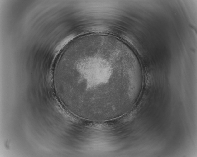 X0000103131074200808221148
