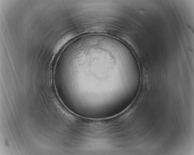 X0000103131075200808221148