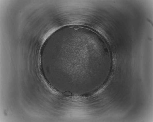 X0000103131077200808221148