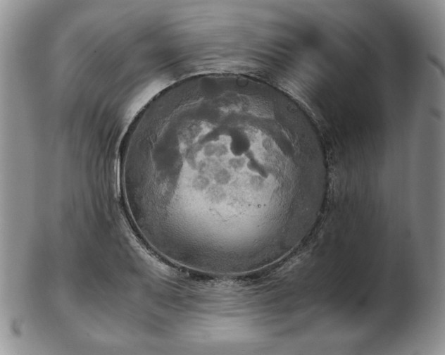 X0000103131079200808221148