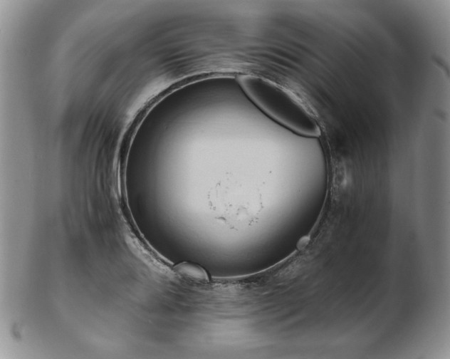 X0000103131080200808221148