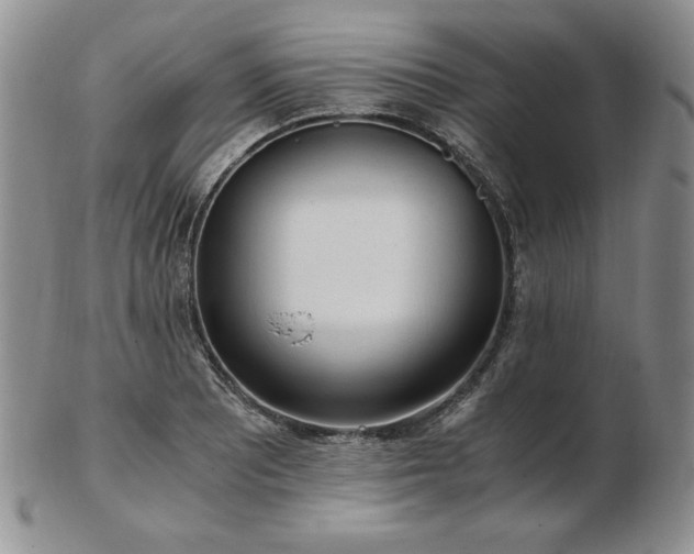 X0000103131081200808221148