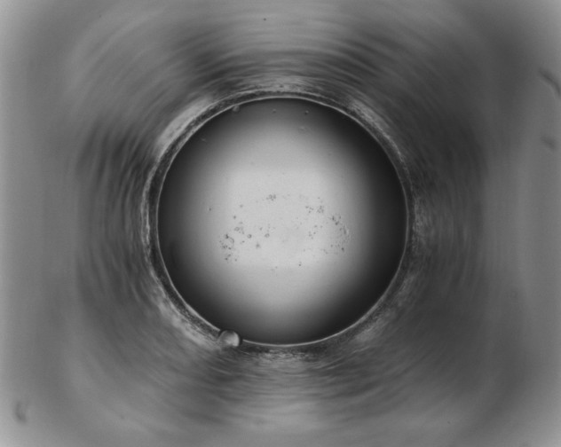 X0000103131082200808221148