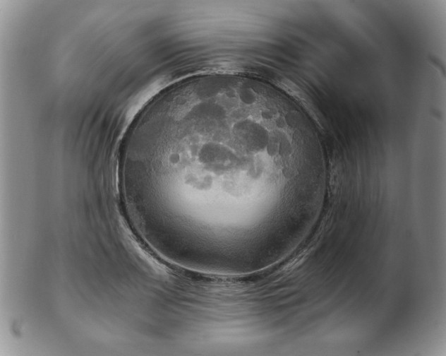 X0000103131083200808221148