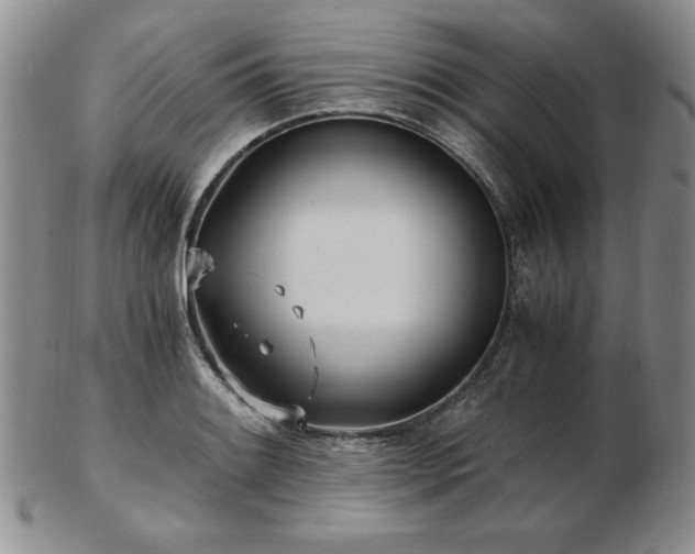 X0000103131084200808221148