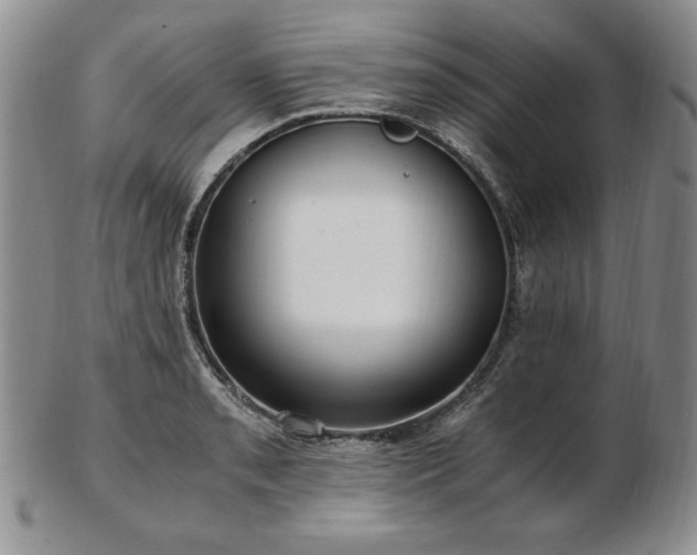 X0000103131085200808221148