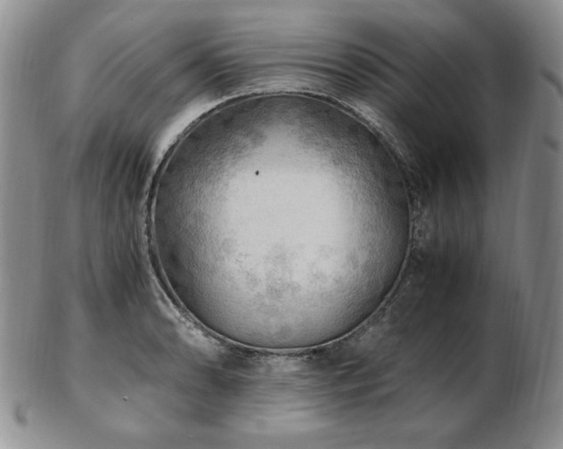 X0000103131086200808221148