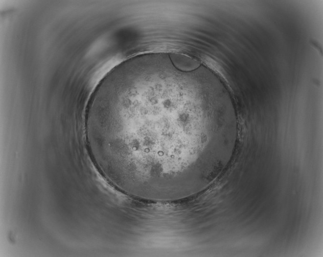 X0000103131087200808221148