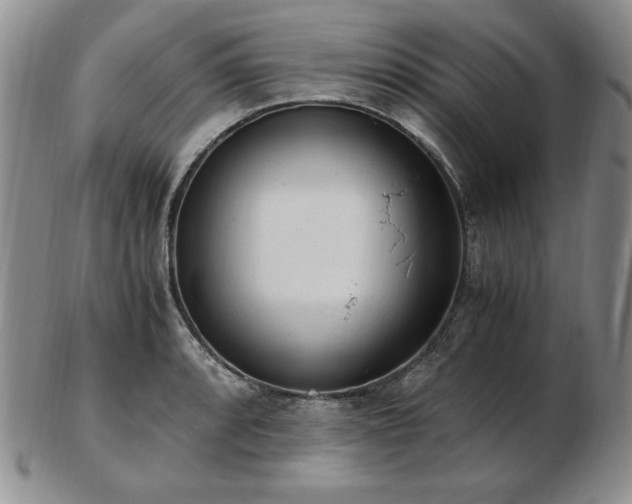 X0000103131088200808221148