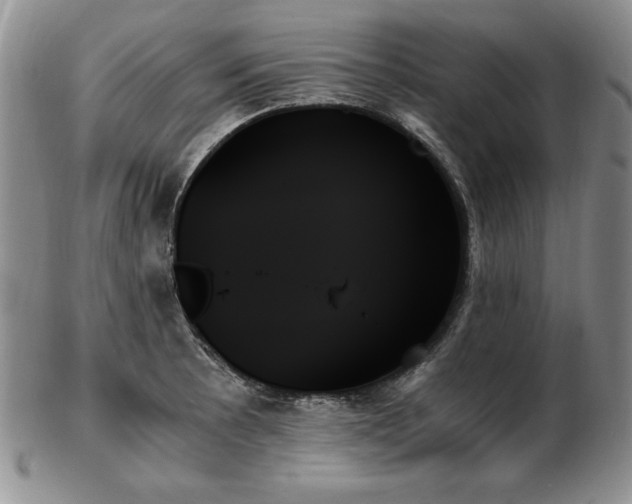 X0000103131089200808221148