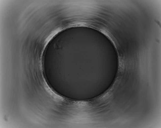 X0000103131090200808221148