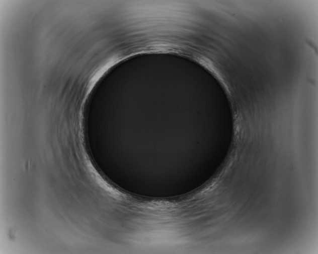 X0000103131091200808221148