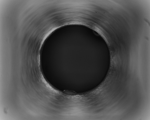 X0000103131092200808221148