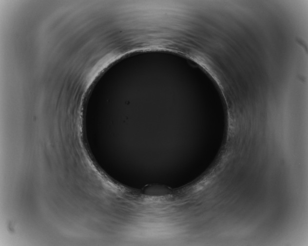 X0000103131093200808221148